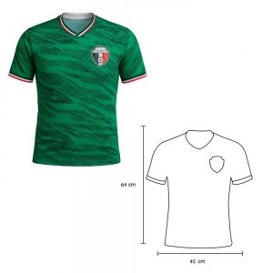 PLAYERA TRICOLOR personalizada